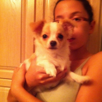 Photo #247965 de Coconut