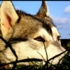 DSCF5664