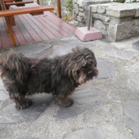 Photo #248181 de Bounty