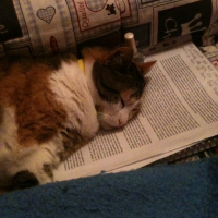 Photo #248189 de Tiiiiii