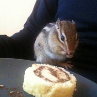 Photo #248269 de Susu