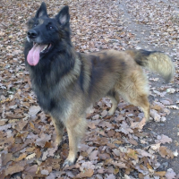 Photo #248396 de Doom