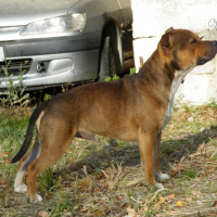 Photo #248460 de Fatal milo
