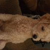 SAM_1745