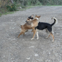 Photo #248561 de Gina