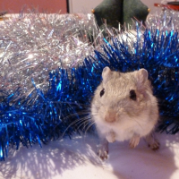 Photo #248791 de Bubble