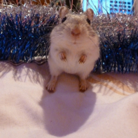 Photo #248792 de Bubble