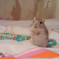 Photo #248794 de Bubble