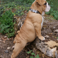 Photo #248998 de Gaïa