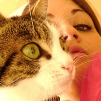 Mon chat <3