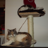 Photo #249048 de Nala