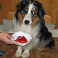 Photo #249075 de Twister