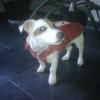 IMG00619-20101017-1749