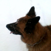 Ski de fond ? Raquettes ? Ballade ?.... Peu importe, la neige, j'aime !!!!