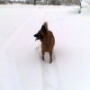 La neige, la neige !!!!!! Oui...............