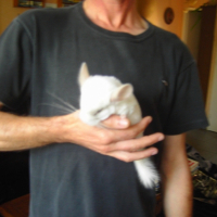 Photo #249138 de Gizmo