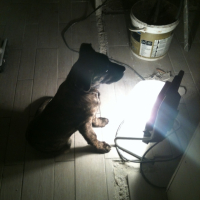 Photo #249261 de Getro