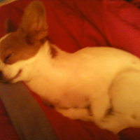 Photo #249271 de Cannelle
