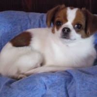 Photo #249273 de Cannelle