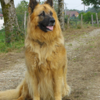 Photo #249282 de Kéops