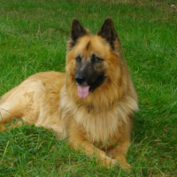 Photo #249283 de Kéops