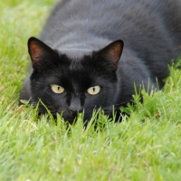 Photo #249354 de Eole