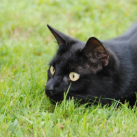 Photo #249355 de Eole