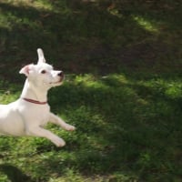 Photo #249421 de Nala