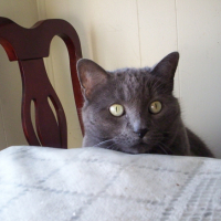 Photo #249428 de Mathilda