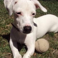 Photo #249434 de Nala