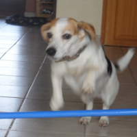 Photo #249435 de Nouba