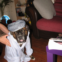 Photo #249496 de Juluka