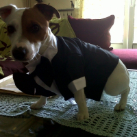 Photo #249569 de Flip