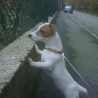 Photo #249577 de Flip