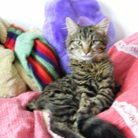 Photo #249594 de Pissou