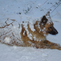 J'aime la neige