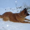 Comme mon père, j'aime la neige.... Surprenant non ????