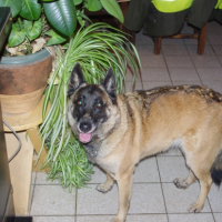 Photo #249602 de Vicky