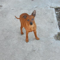 Photo #249619 de Jessy
