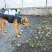 Photo #249620 de Dember