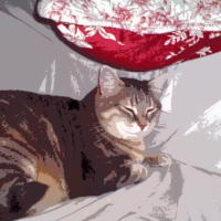 Photo #249672 de Lucie