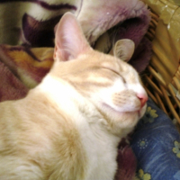 Photo #249674 de Lucie
