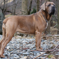 Photo #249851 de Badshy