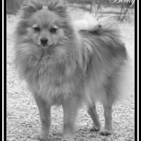 Photo #249864 de Douna