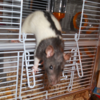 Photo #250081 de Mia