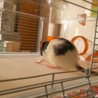 Photo #250082 de Mia