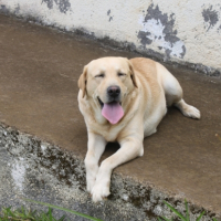 Photo #250097 de Hector