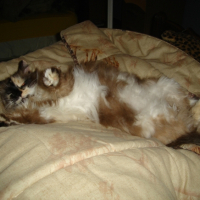 Photo #250203 de Mirabelle