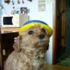 Moi et mon jolie chapeau ! ^^ 