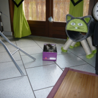 Photo #250307 de Kiara